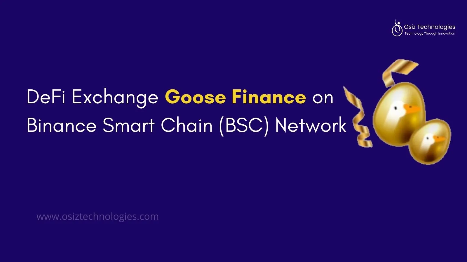 What is So Special in Goose Finance DeFi Exchange?