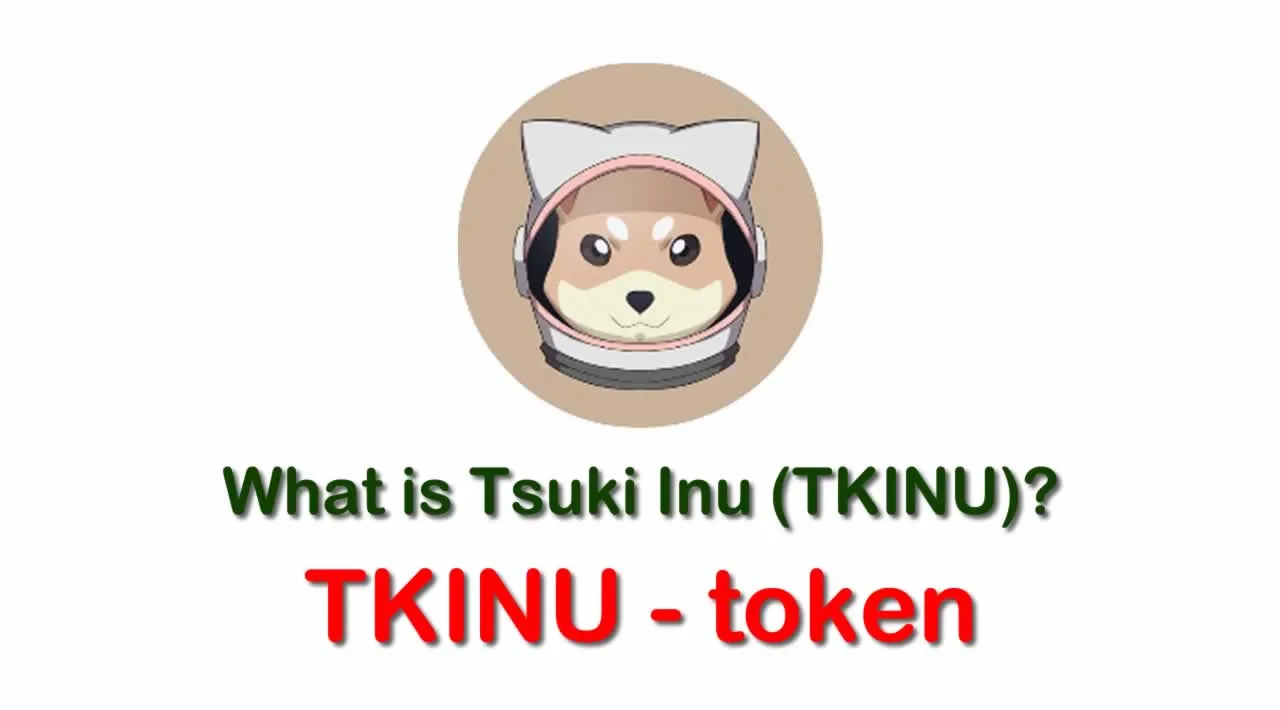 What is Tsuki Inu (TKINU) | What is Tsuki Inu token | What is TKINU token 