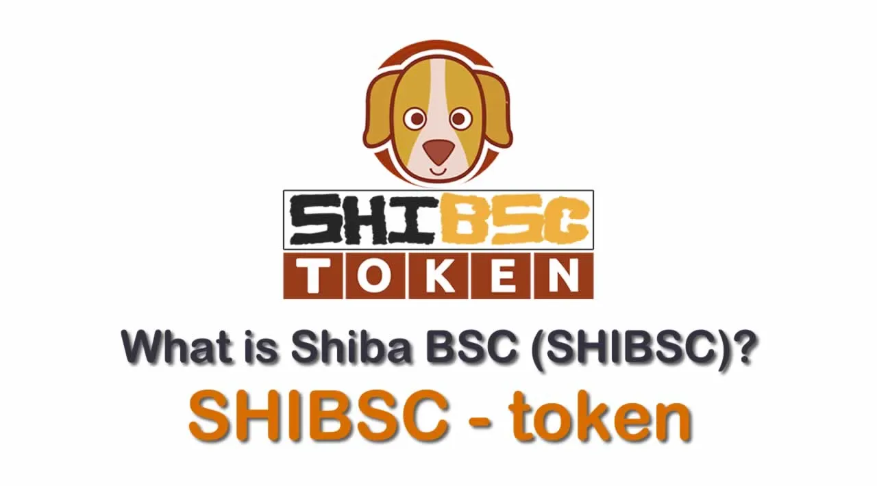 What is Shiba BSC (SHIBSC) | What is Shiba BSC token | What is SHIBSC token