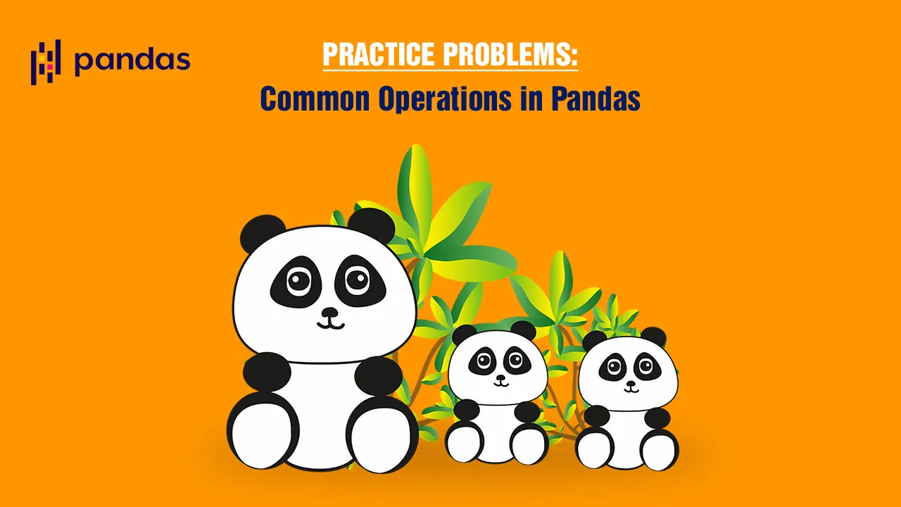 Practice Problems: Common Operations in Pandas