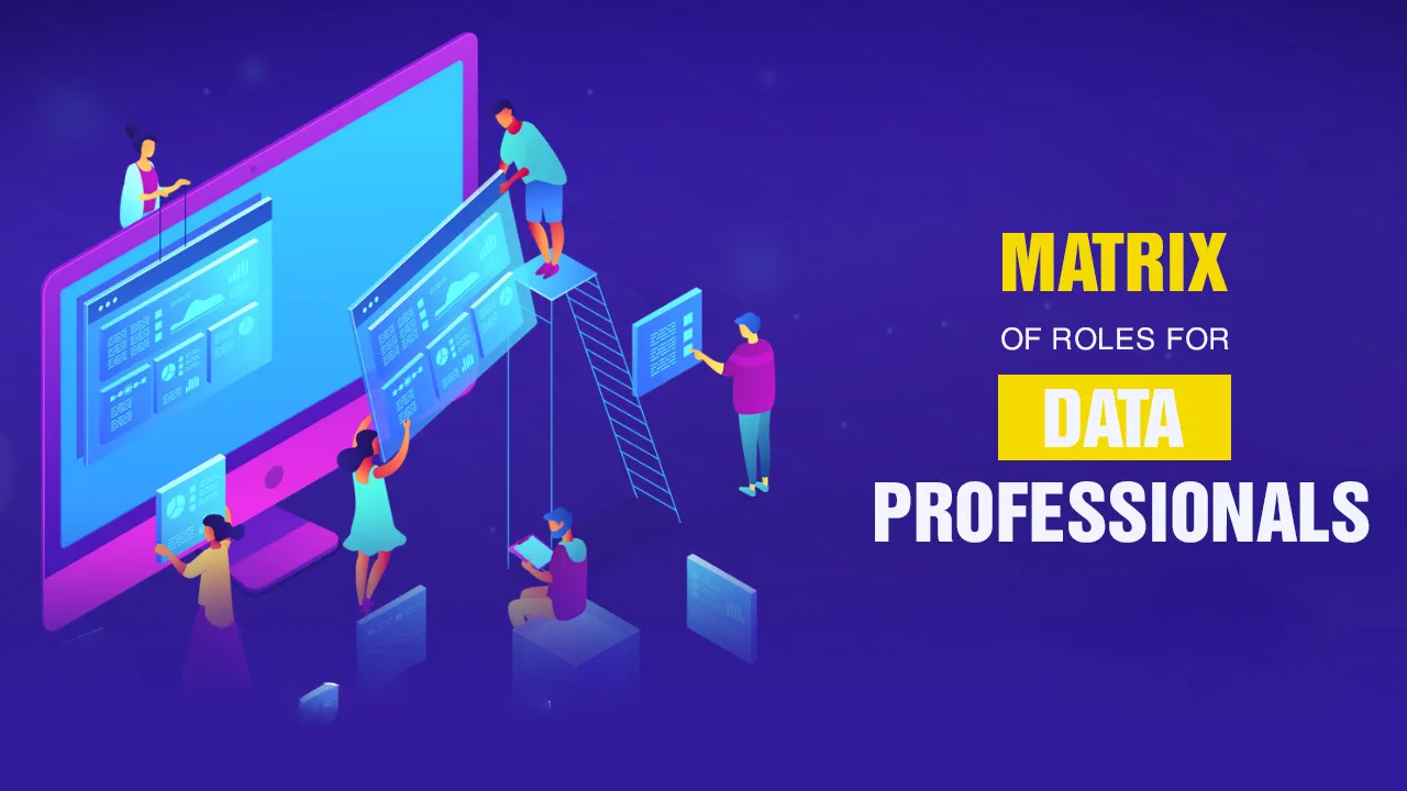 Matrix of Roles for Data Professionals