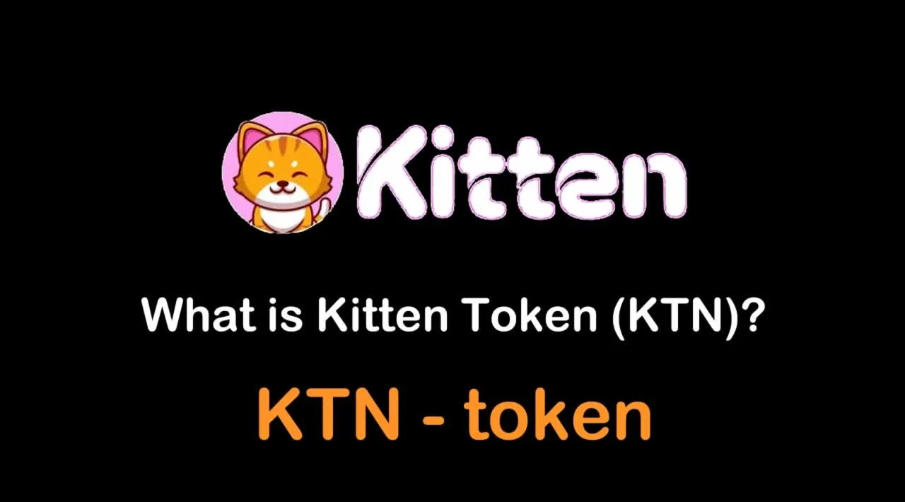 What is Kitten Token (KTN) | What is KTN token