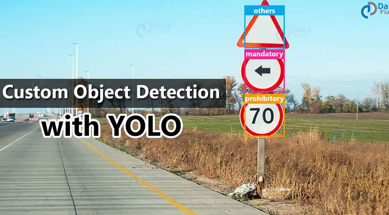 Custom Object Detection with YOLO V5