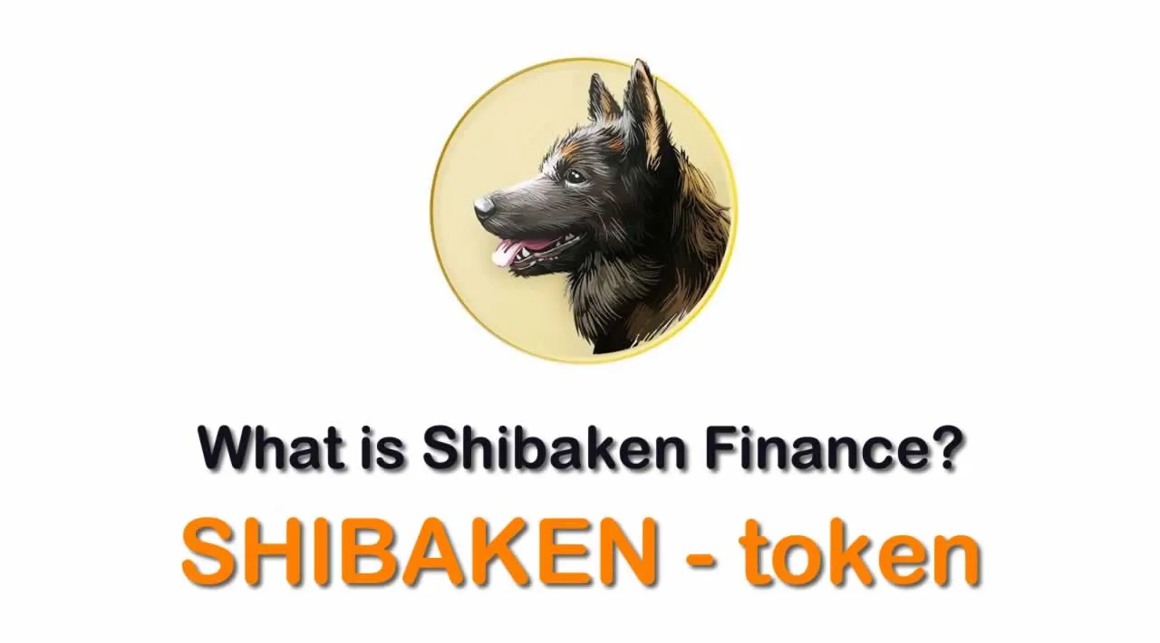 What is Shibaken Finance (SHIBAKEN) | What is Shibaken Finance token | What is SHIBAKEN token