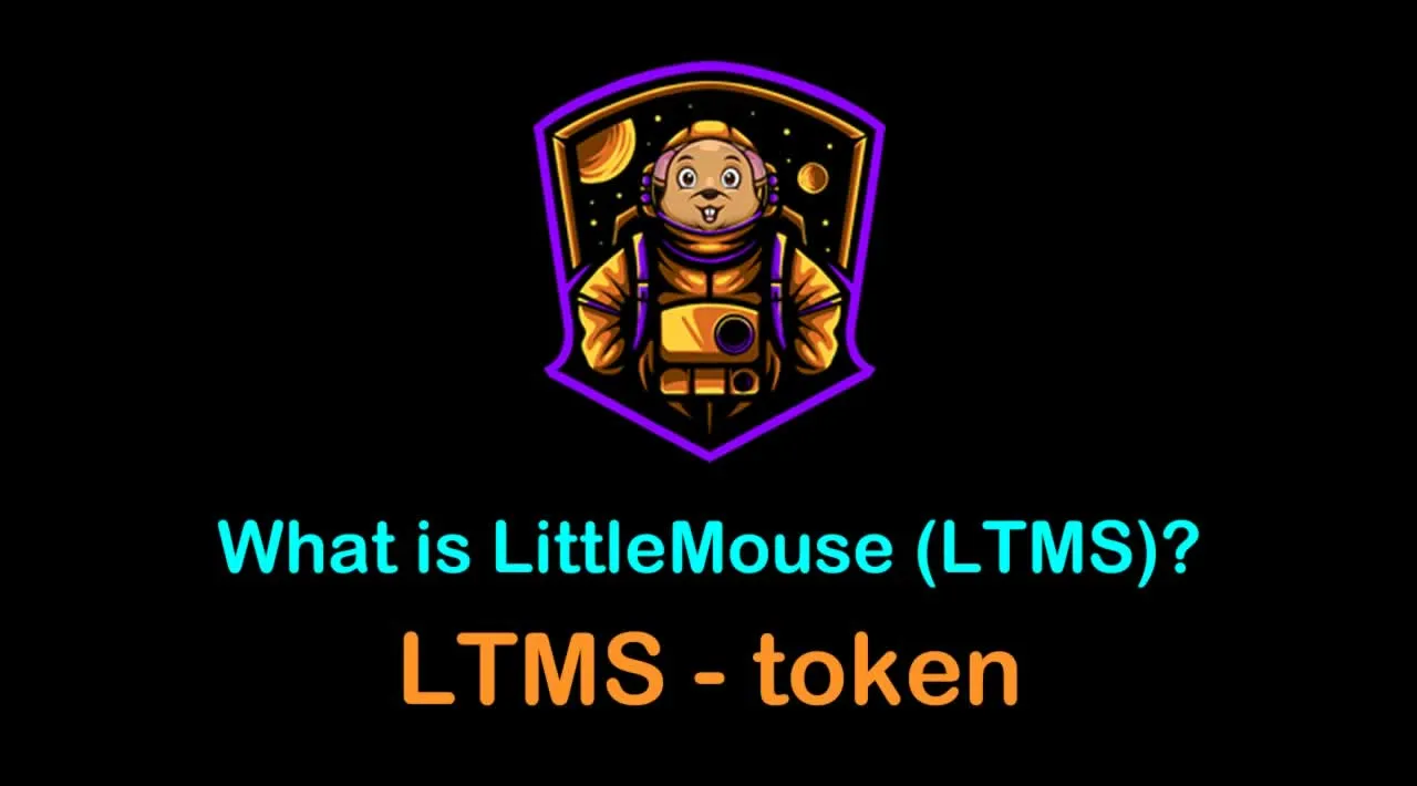 What is LittleMouse (LTMS) | What is LittleMouse token | What is LTMS token