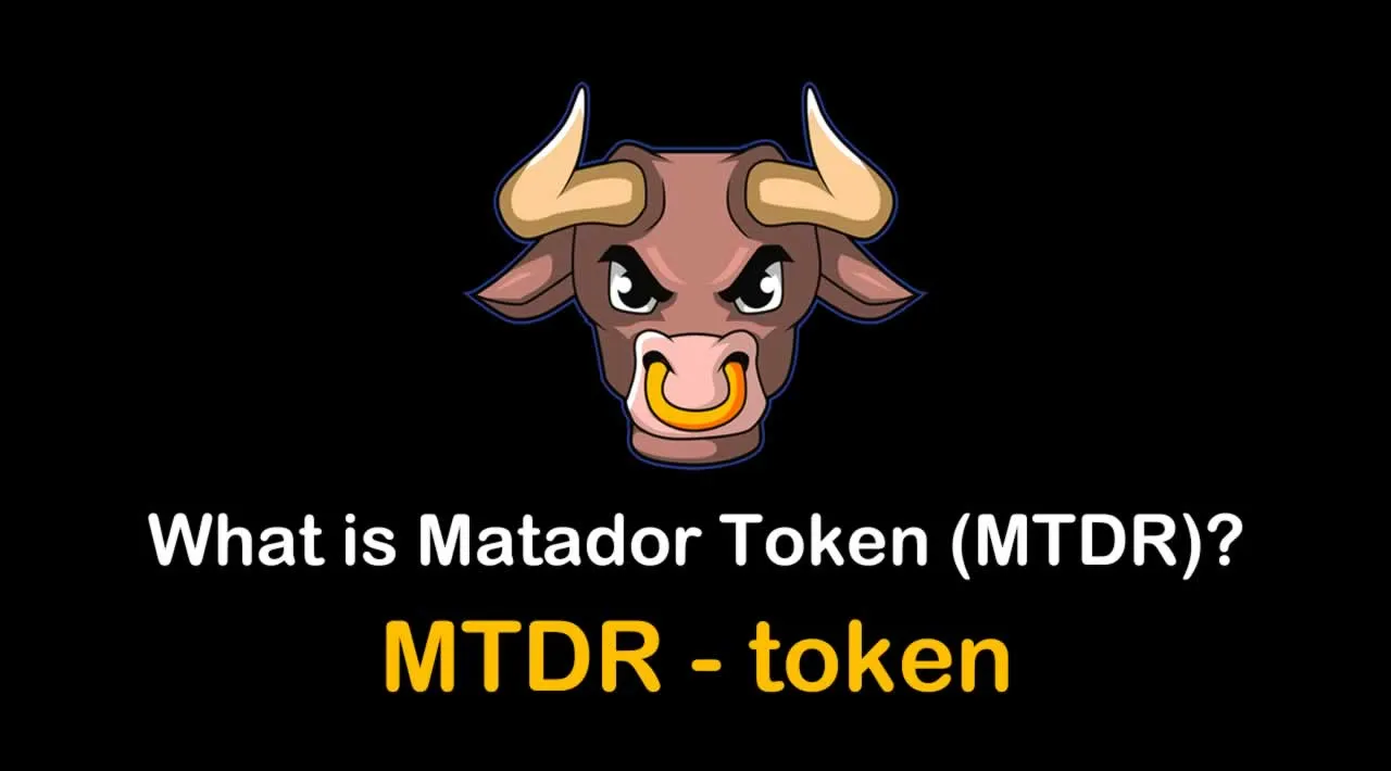What is Matador Token (MTDR) | What is MTDR token