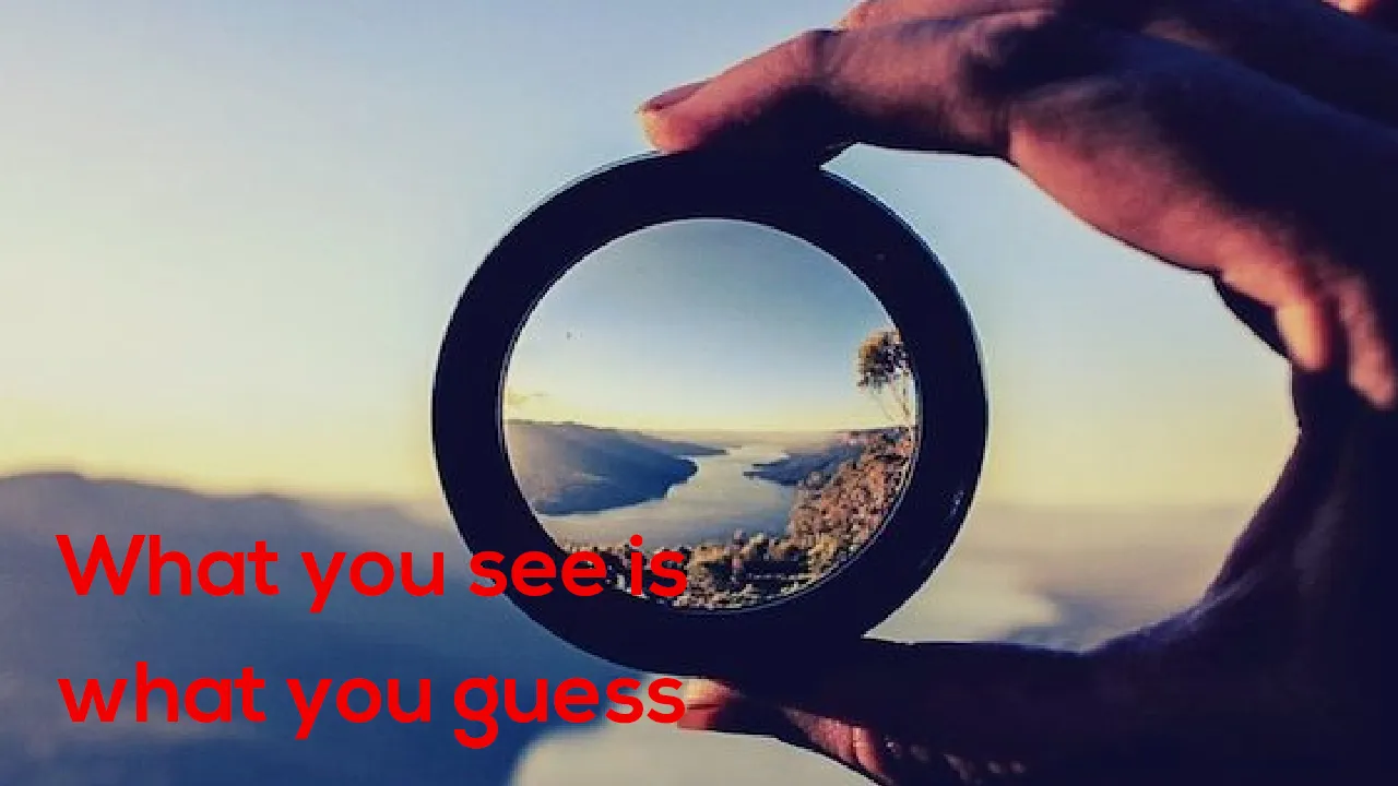What you see is what you guess