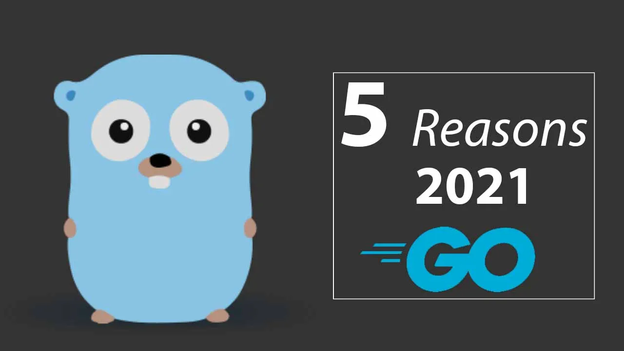 5 Reasons Why You Should Choose Golang in 2021