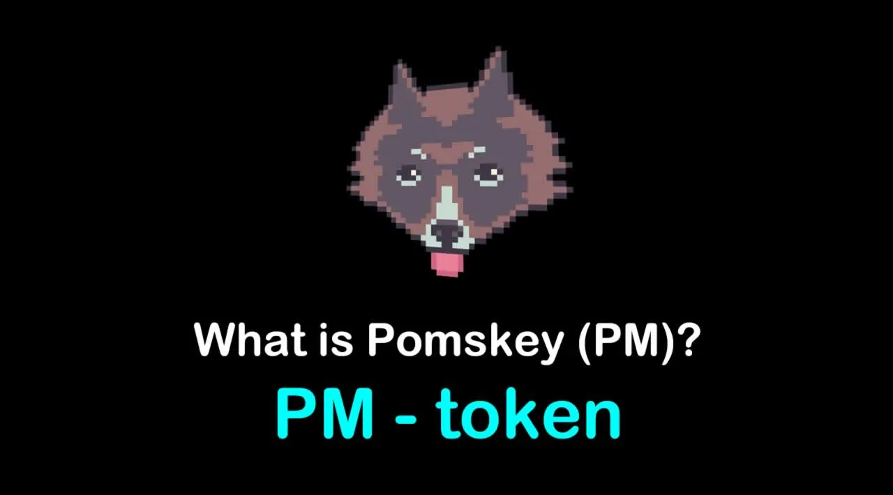 What is Pomskey (PM) | What is Pomskey token | What is PM token