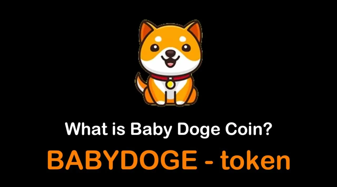 What is Baby Doge Coin (BABYDOGE) | What is Baby Doge Coin token | What is BABYDOGE token
