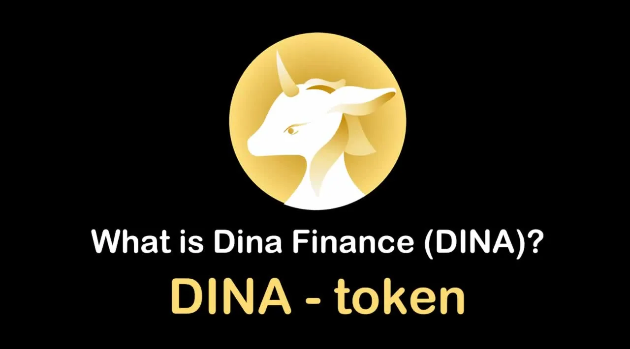 What is Dina Finance (DINA) | What is Dina Finance token | What is DINA token