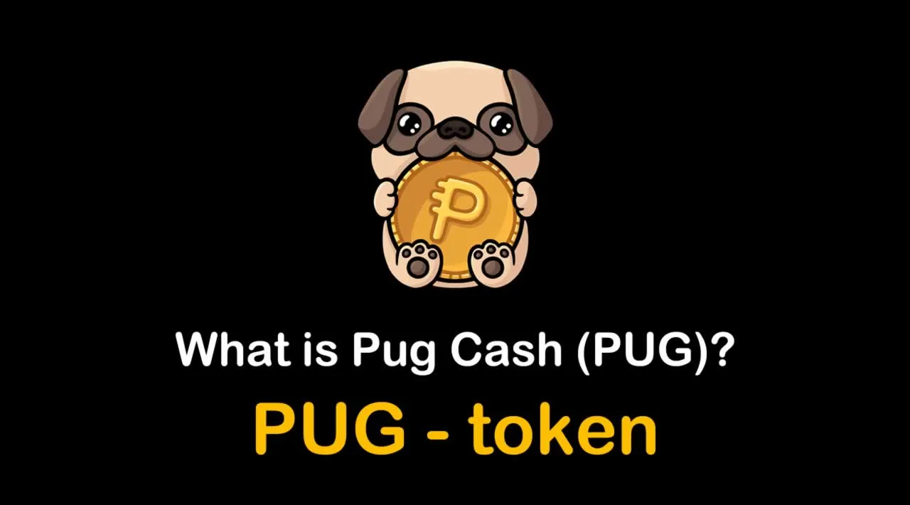 What is Pug Cash (PUG) | What is Pug Cash token | What is PUG token 