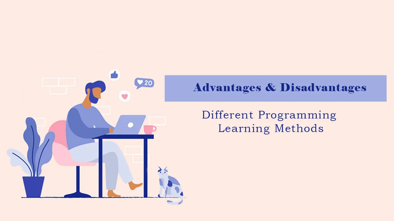 Advantages and Disadvantages of Different Programming Learning Methods