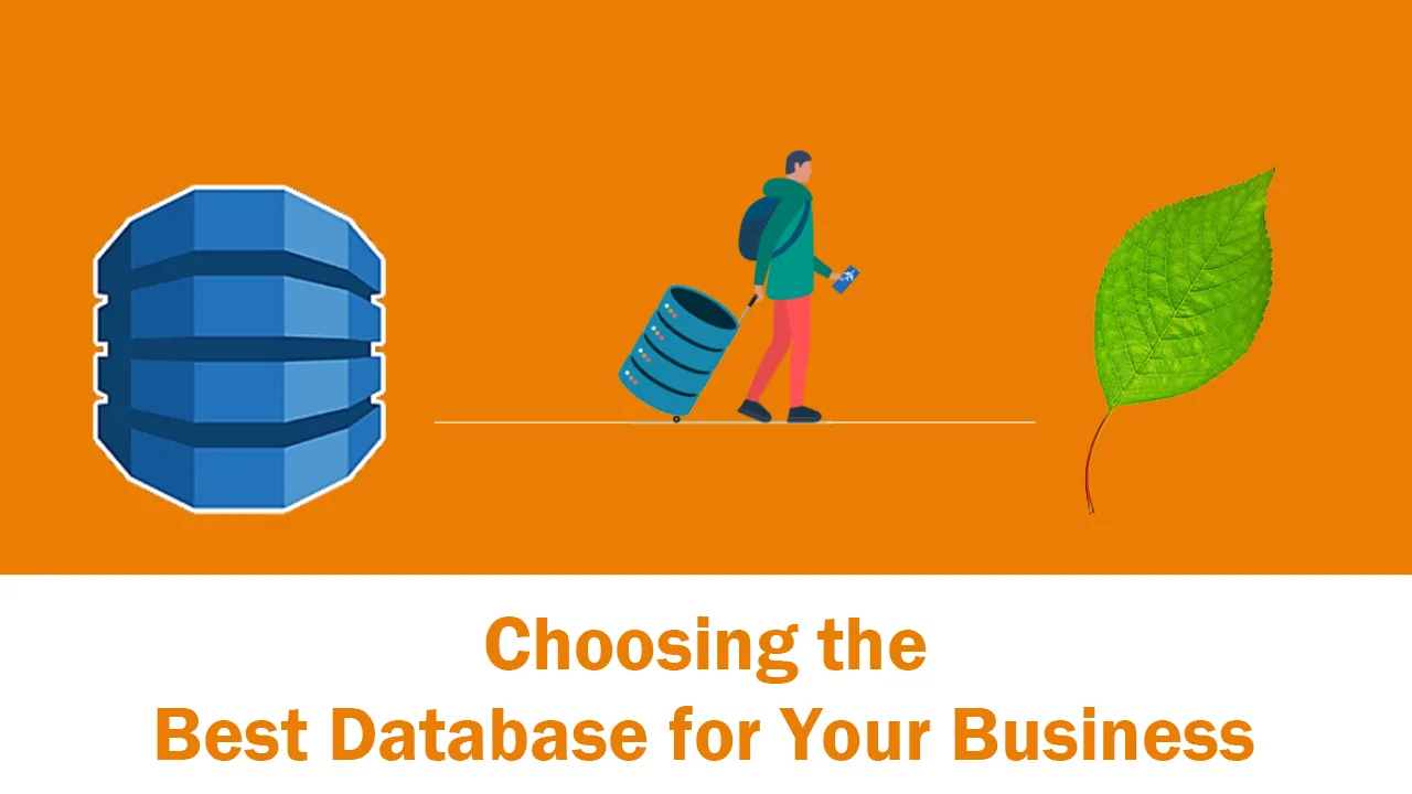 MongoDB Vs. DynamoDB: Choosing The Best Database For Your Business