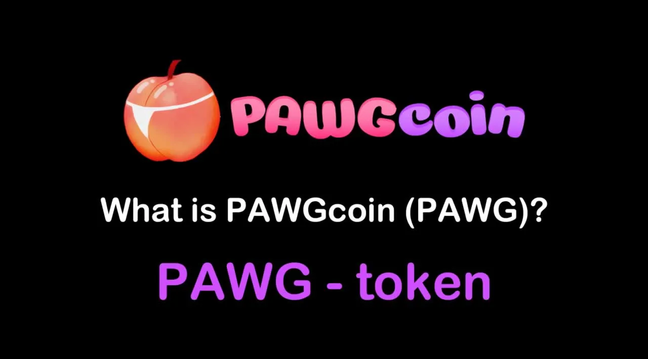What is PAWGcoin (PAWG) | What is PAWGcoin token What is PAWG token
