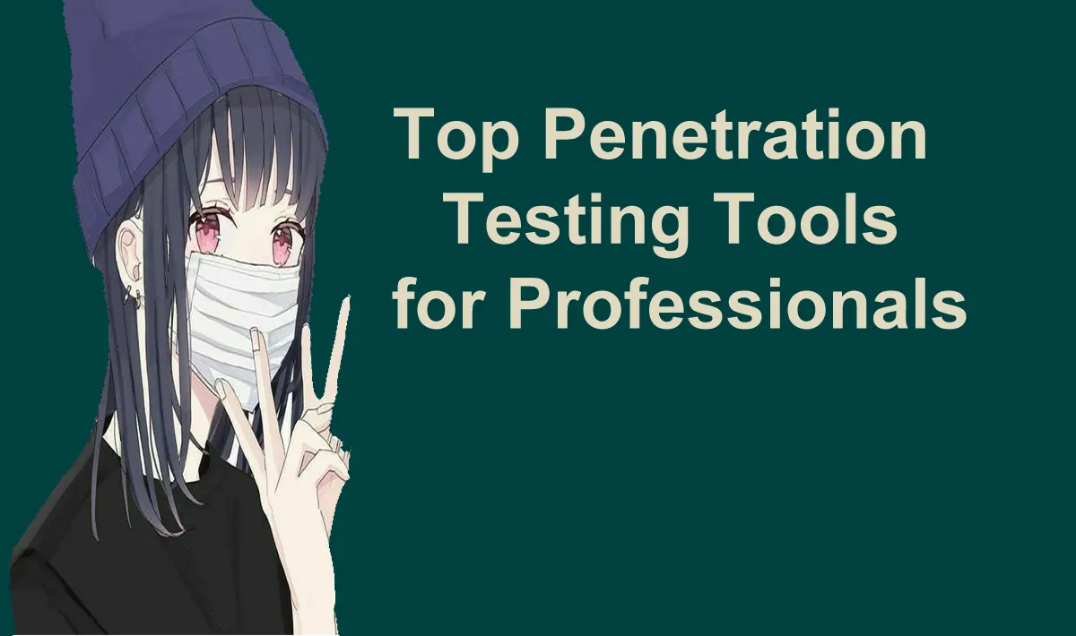 Top Penetration Testing Tools for Professionals