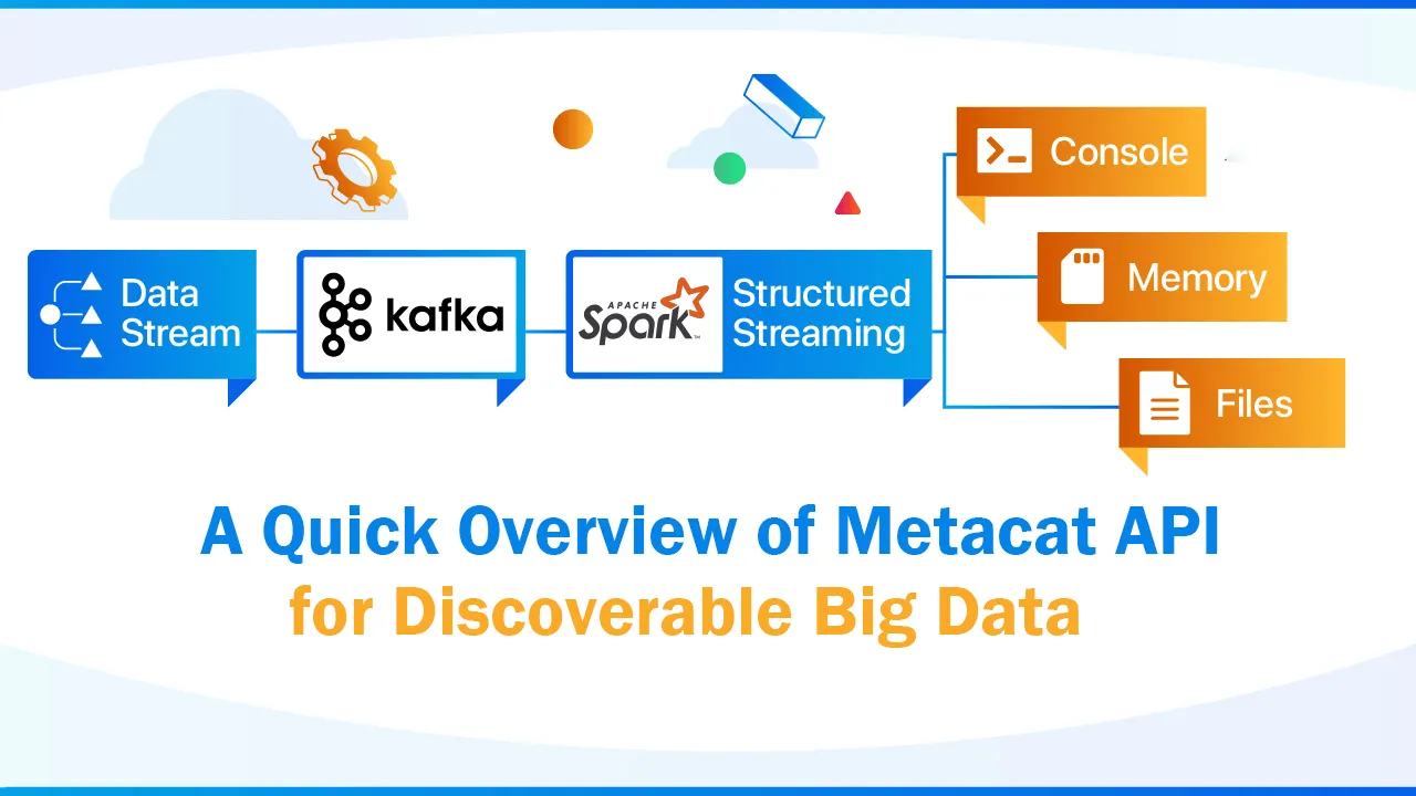 A Quick Overview of Metacat API for Discoverable Big Data