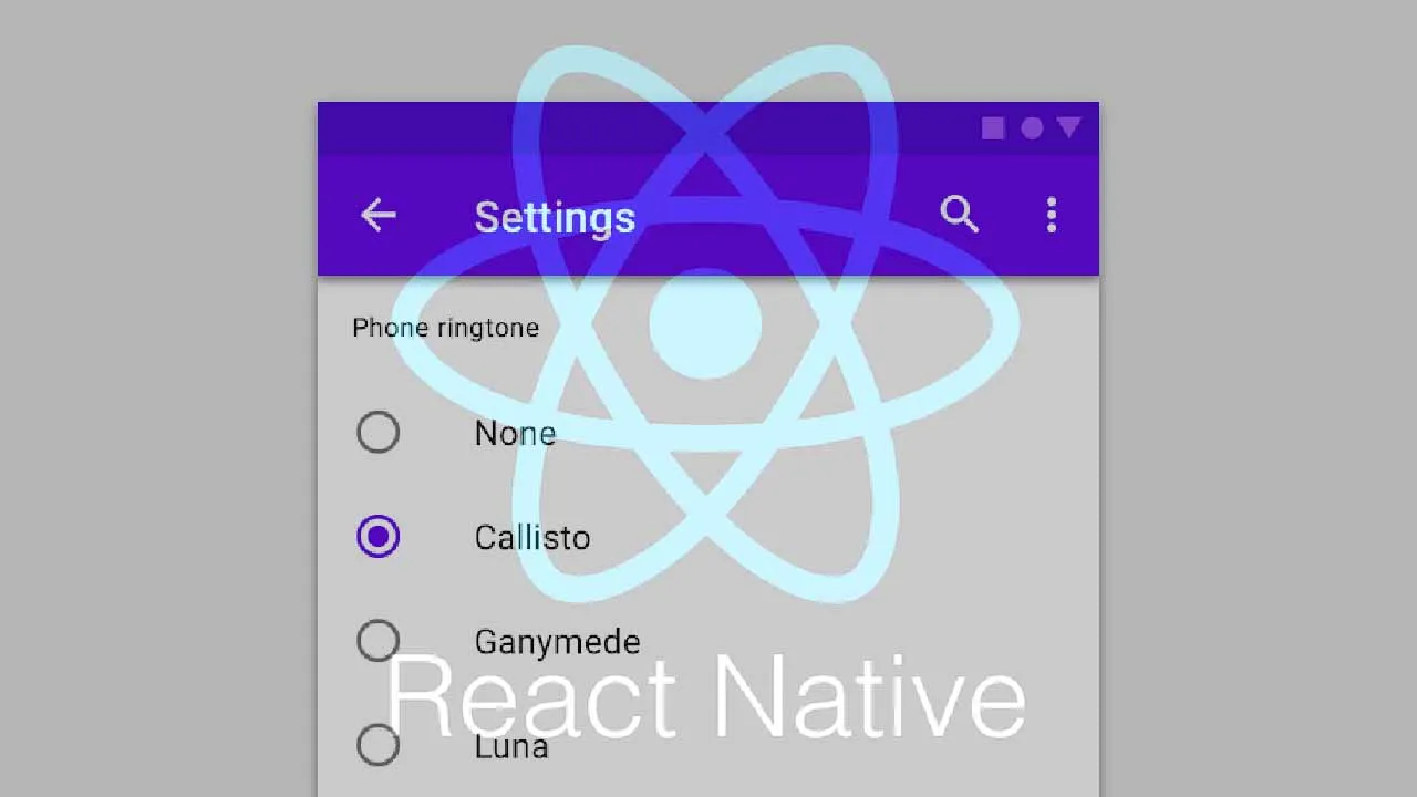 How to Add RADIO-BUTTON INPUTS in REACT NATIVE using for