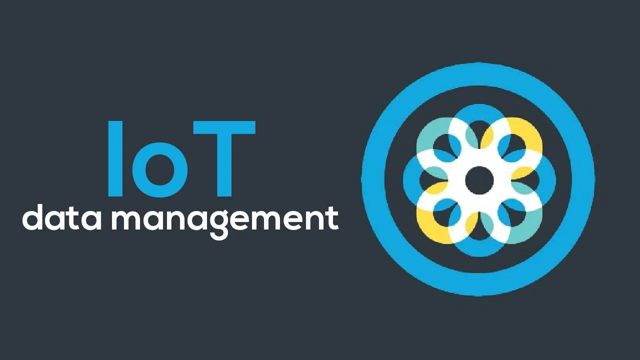 The Challenges of IoT Data Management