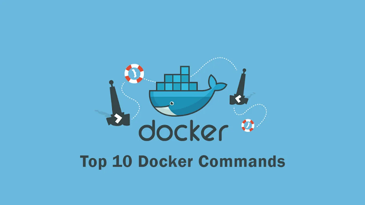 Top 10 Docker Commands You Should Know! 