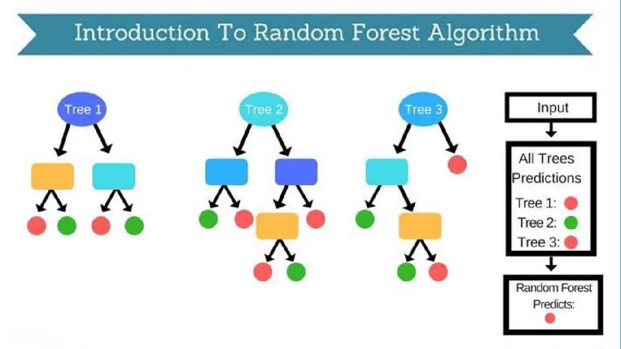 Introduction to Random Forest Algorithm: Functions, Applications & Benefits 