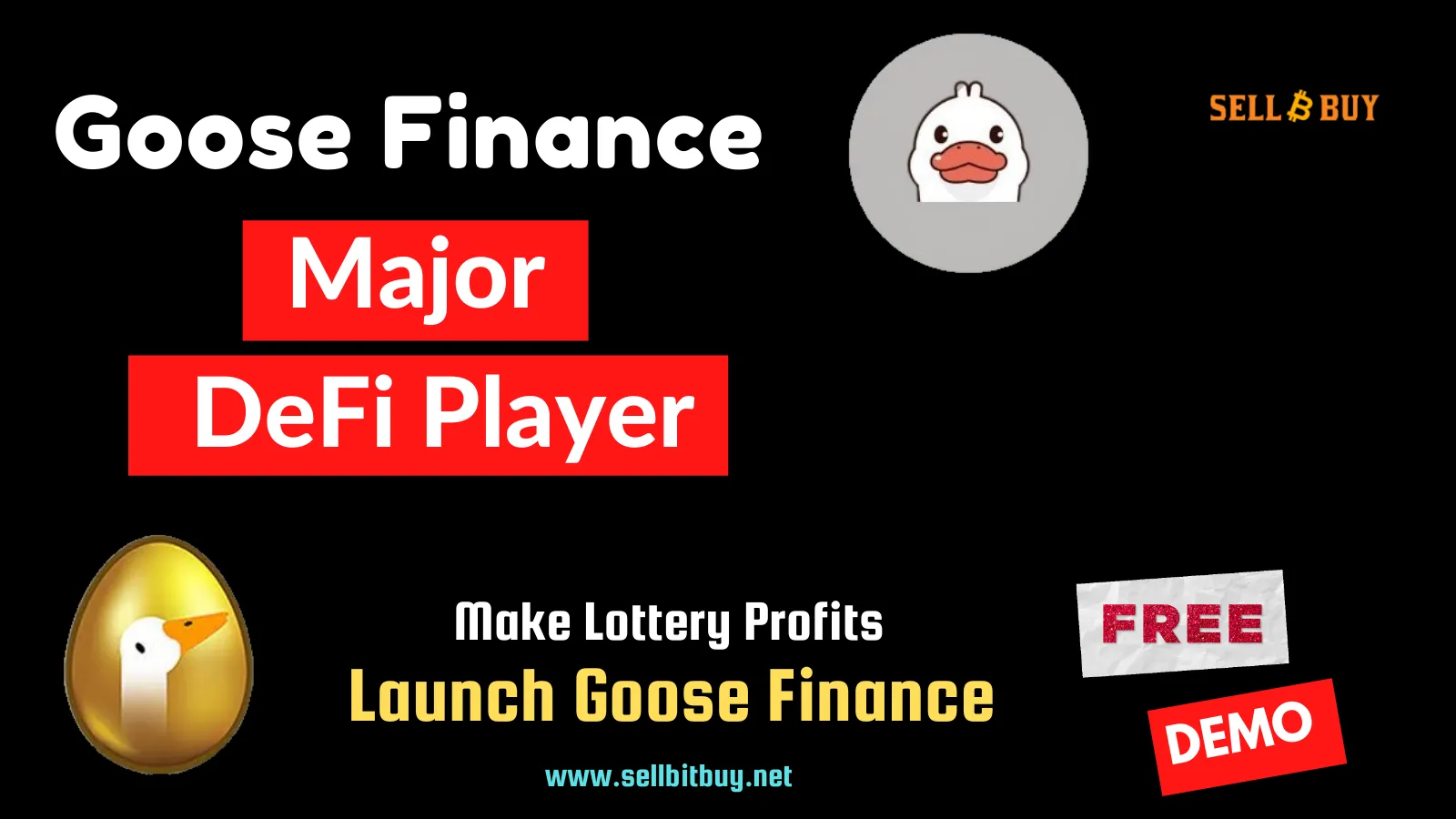 Create Goose Finance Like High Profitable DeFi Protocol on BSC