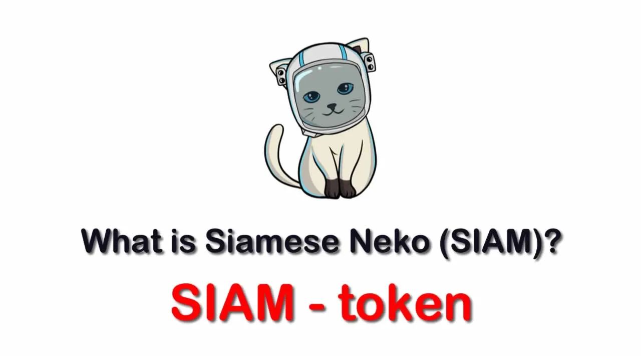 What is Siamese Neko (SIAM) | What is Siamese Neko token | What is SIAM token