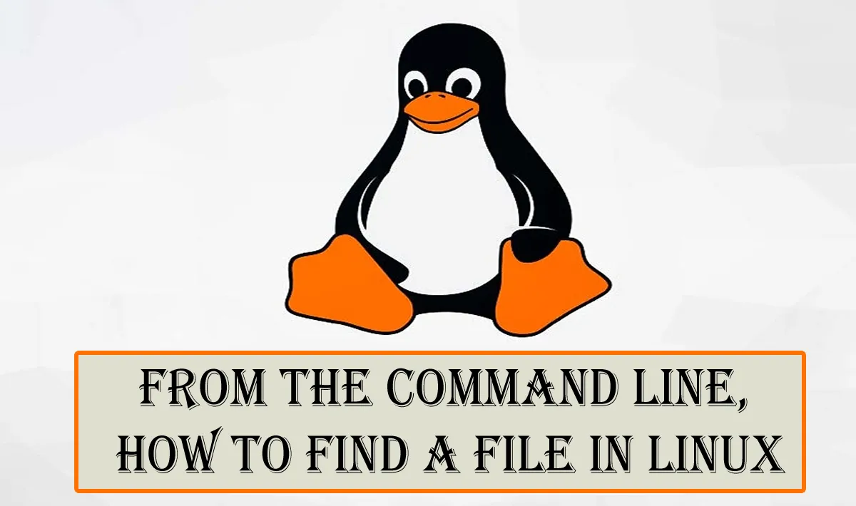 From the Command Line, How to Find a File in Linux