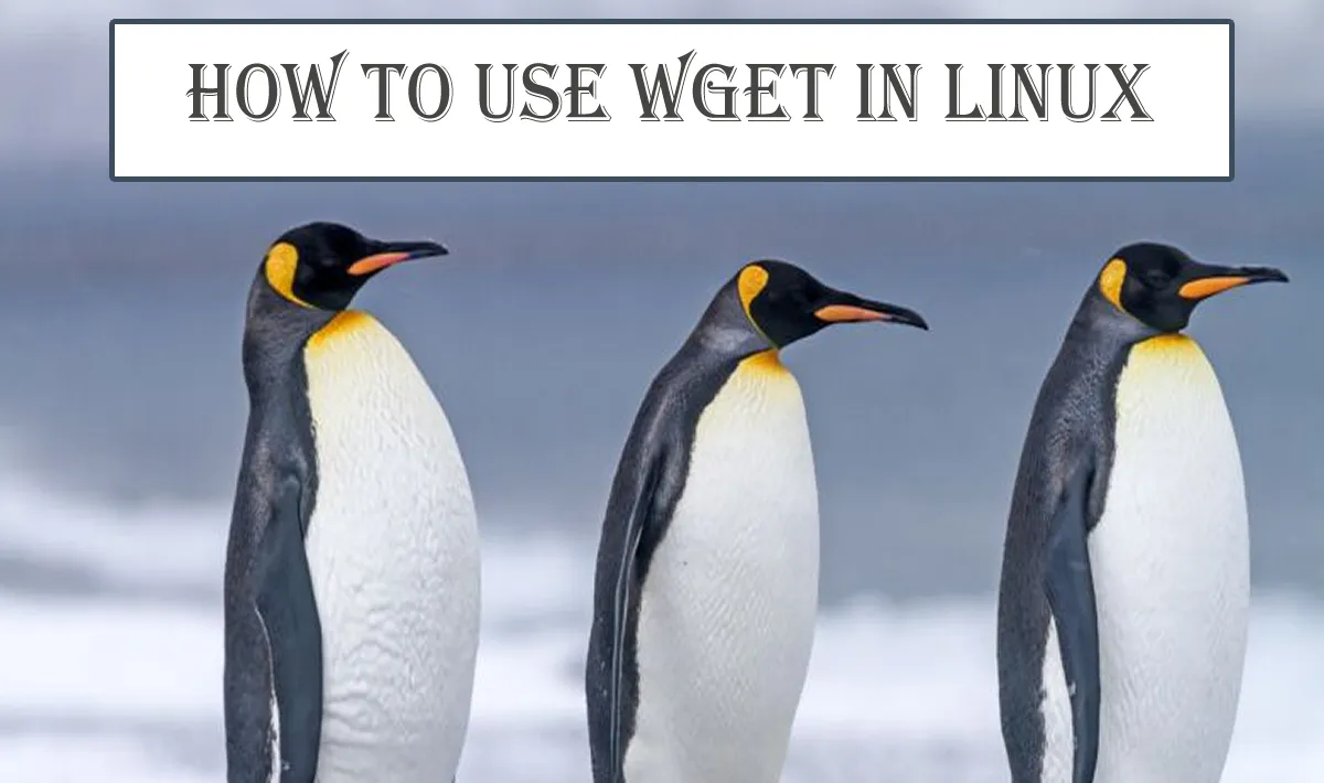 How To Use wget in Linux 