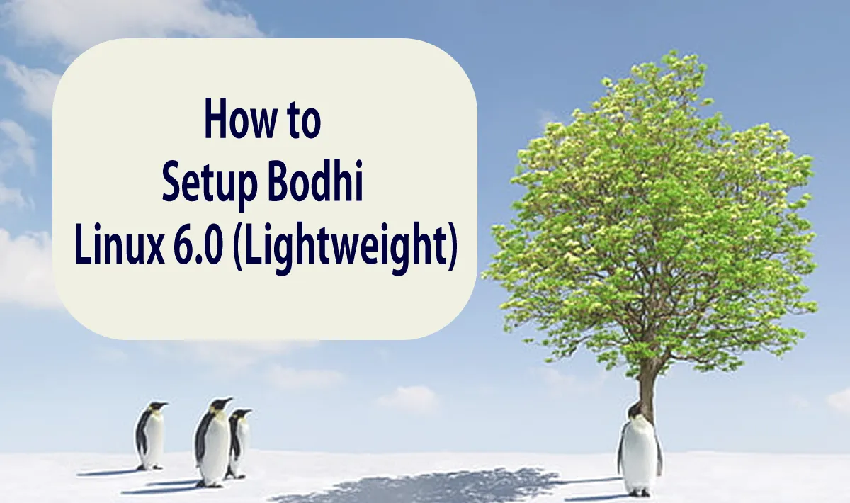 How to Setup Bodhi Linux 6.0 (Lightweight)