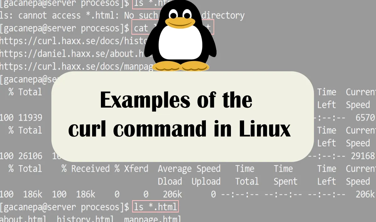 Examples of the curl command in Linux