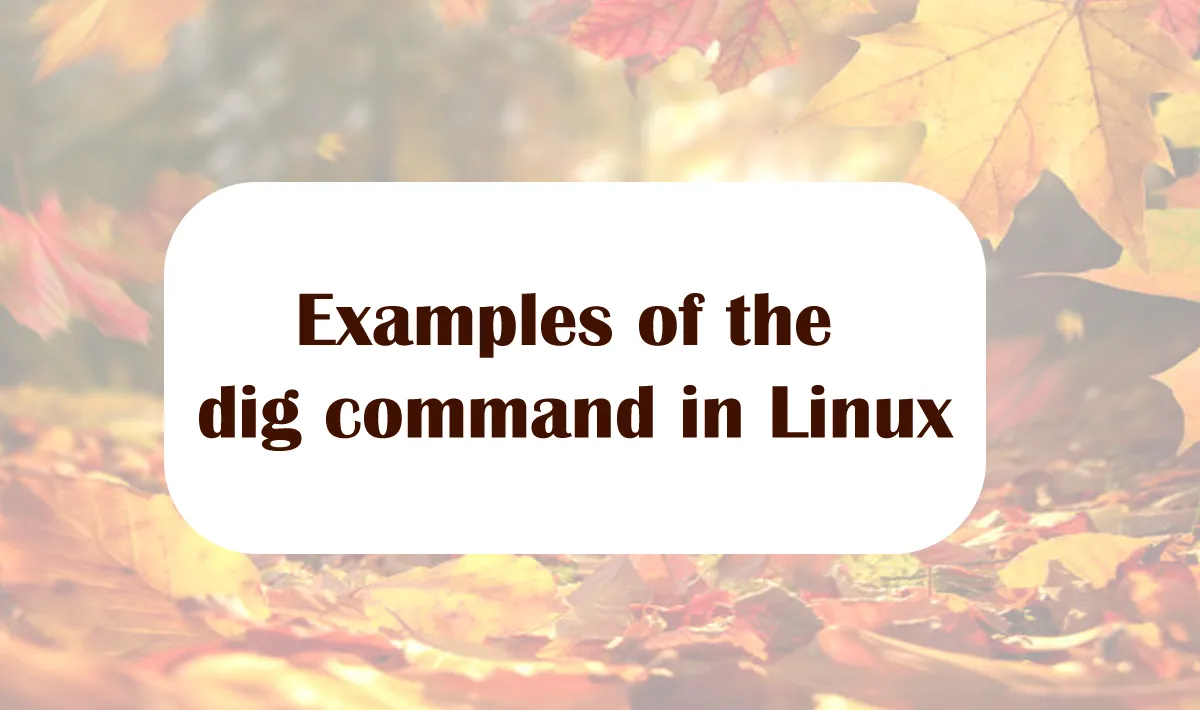 Examples of the dig command in Linux