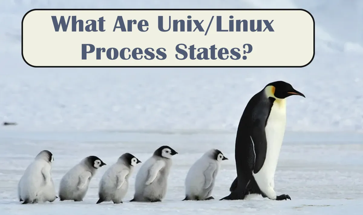 What Are Unix/Linux Process States?