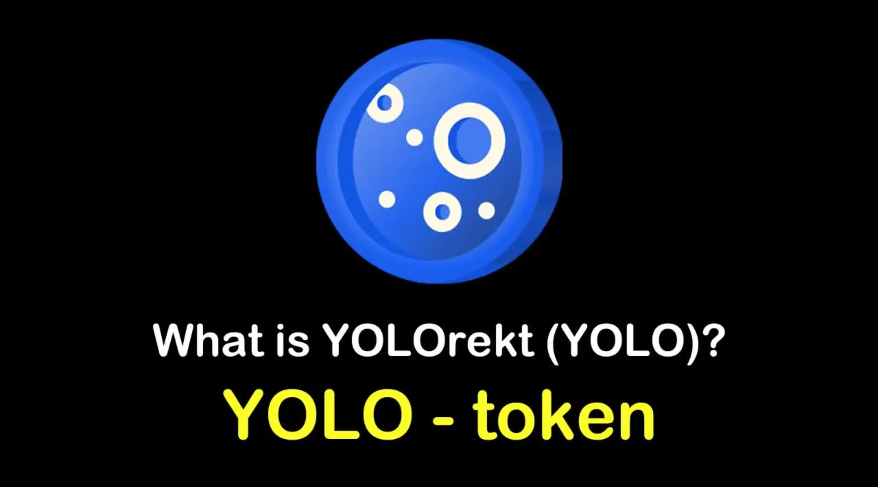 What is YOLOrekt (YOLO) | What is YOLOrekt token | What is YOLO token 