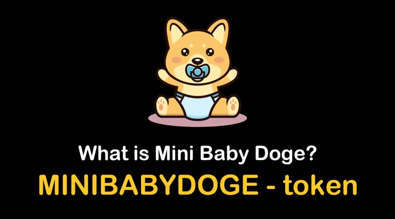 What is Mini Baby Doge (MINIBABYDOGE) | What is Mini Baby Doge token | What is MINIBABYDOGE token