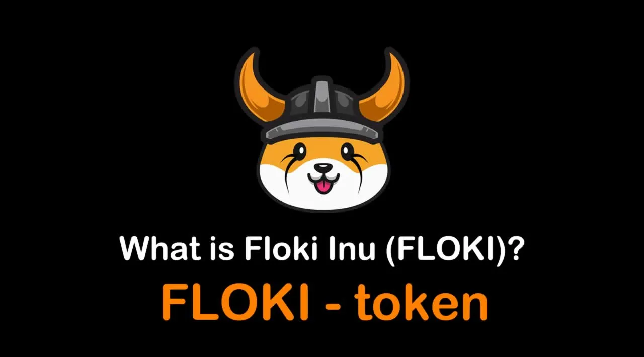 What is Floki (FLOKI) The future of cryptocurrency and blockchain technology