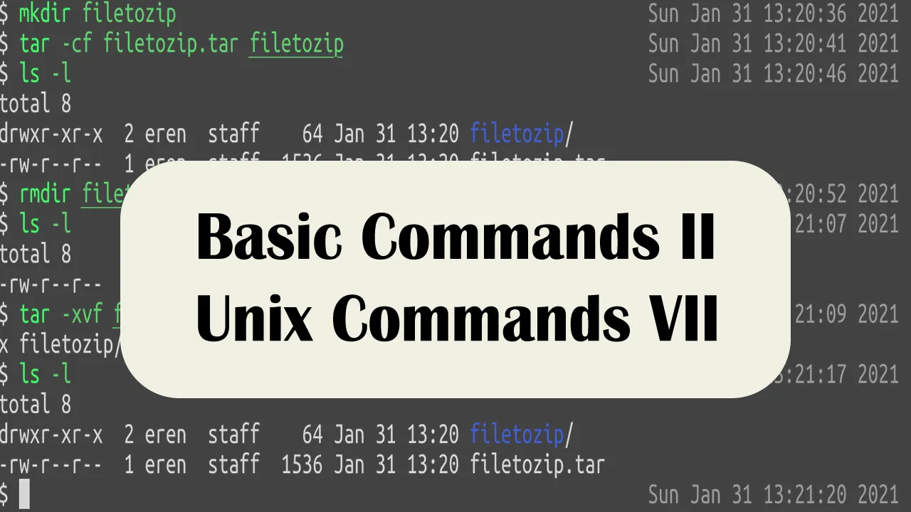 Basic Commands II — Unix Commands VII