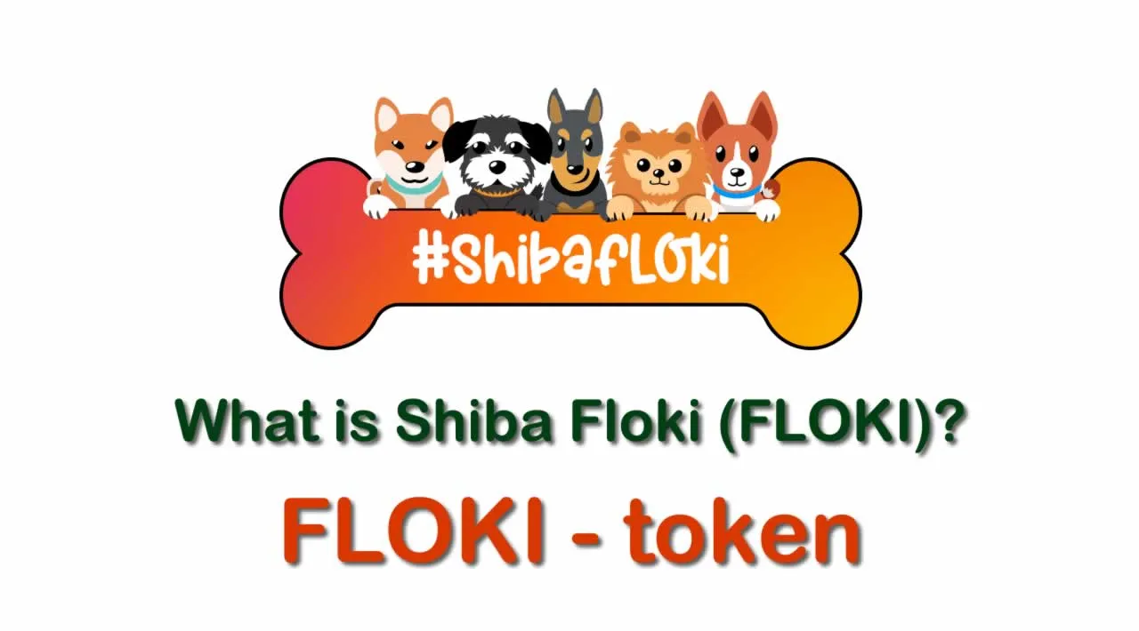 What is Shiba Floki (FLOKI) | What is Shiba Floki token | What is FLOKI token 