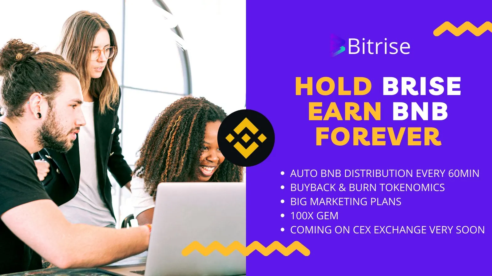 Bitrise - Hyper Deflationary Token with BNB Rewards | Hold $BRISE & Earn BNB