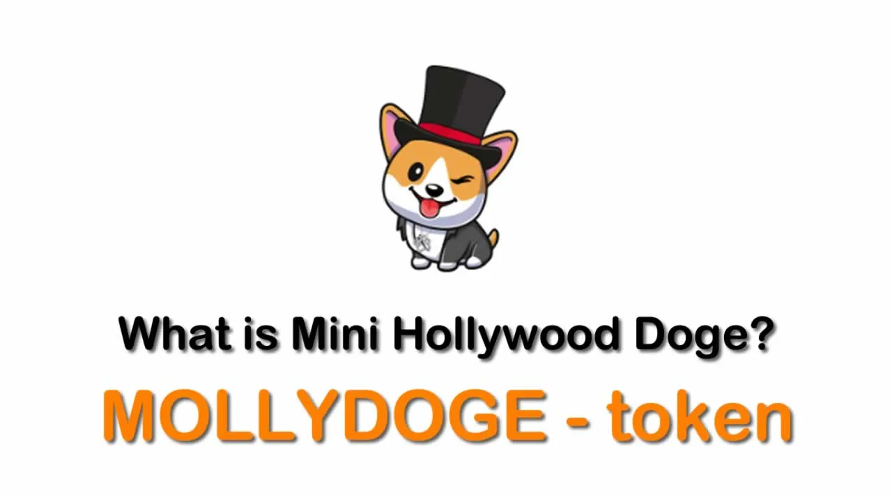 What is Mini Hollywood Doge (MOLLYDOGE) | What is Mini Hollywood Doge token | What is MOLLYDOGE token