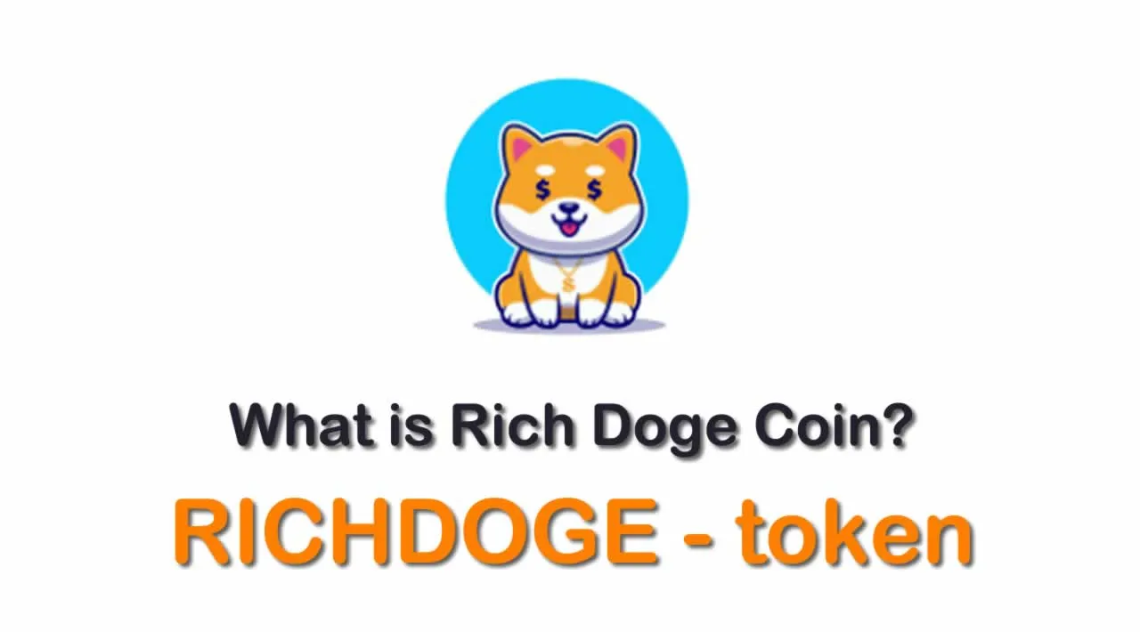 What is Rich Doge Coin (RICHDOGE) | What is RICHDOGE token