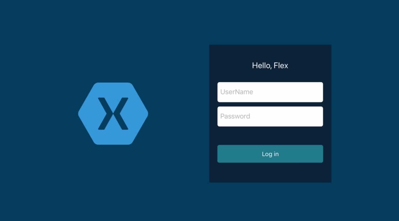 How to make a basic Login in Xamarin with Xamarin.Forms