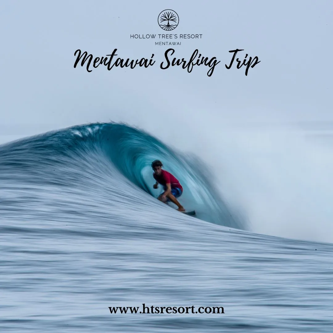 Mentawai Surf Trip