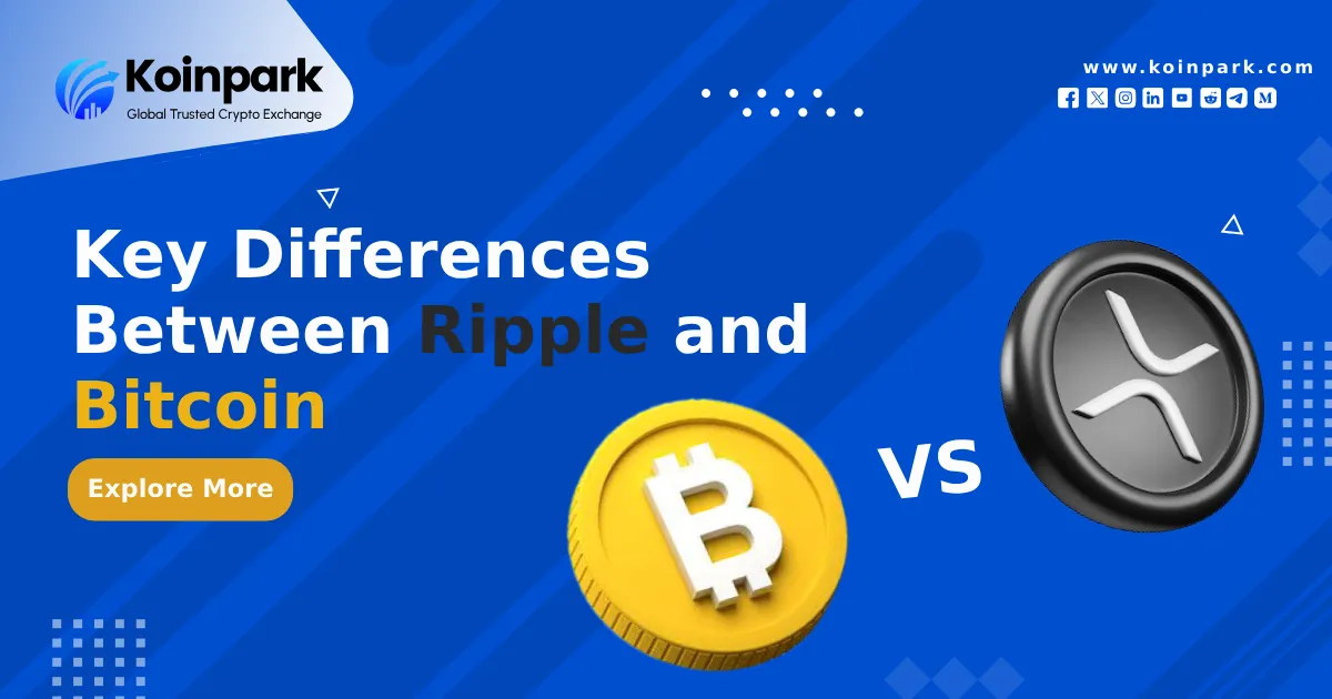 Key Differences Between Ripple And Bitcoin