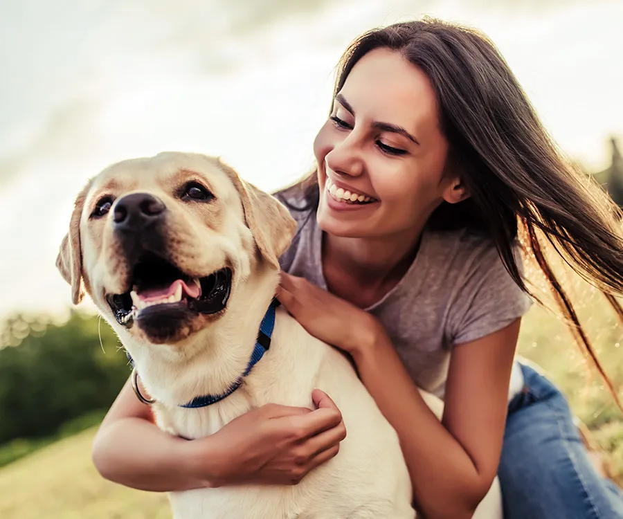 Inspiring Animal Stories: Dog Tales Of Canine Resilience And Love