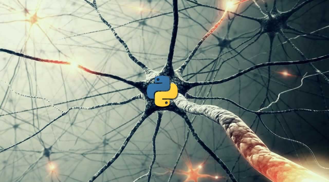 A single neuron neural network in Python