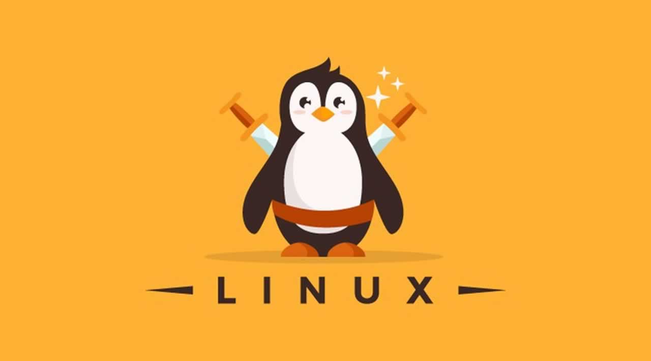 Mastering the Linux Command Line