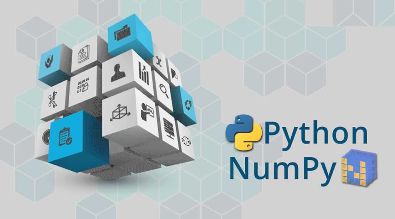 Learn NumPy Fundamentals - Python Library for Data Science