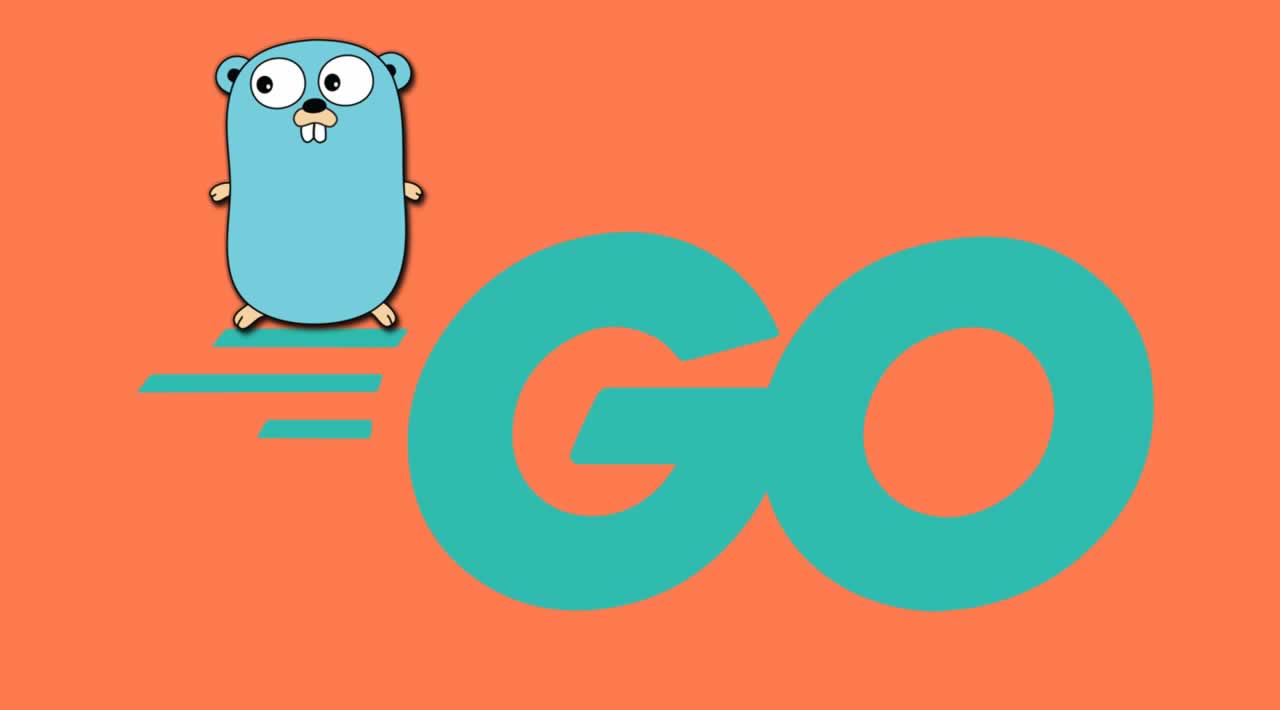 How to dealing with Optional Parameters in Go