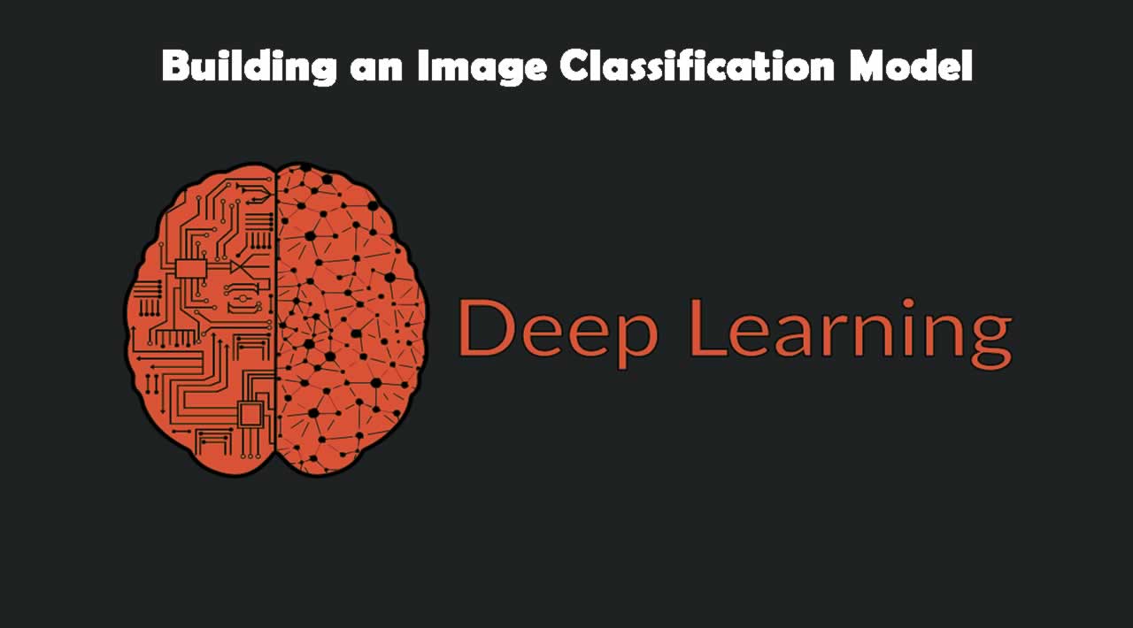 Building an Image Classification Model in 10 Minutes